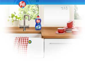 Unter dem Motto "Mein Pril - Mein Stil" sind alle Verbraucher aufgerufen, eine Pril-Flasche nach ihrem eigenen Geschmack und bereits vorgegebenen Designvorschlägen individuell und kreativ zu gestalten - auf der Homepage www.pril.de/meinpril.