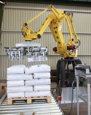 Die Baureihe Beumer robotpac palettiert und depalettiert mit spezifischen Greifelementen und -werkzeugen unterschiedliche Packstücke.