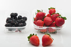 Anwendungsbeispiele für DPET™ sieht Octal neben der Fleisch- oder Molkereiindustrie auch bei Obst, Gemüse und anderen Produkten, für die transparente Schalen erste Wahl sind.
