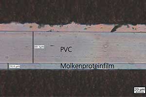Proteinbasierte Barriereschichten für den Thermoformprozess: Hier ist eine 20 µm dicke Schicht des Molkeproteins ("Wheylayer) in eine PVC-Folie (100 µm) eingearbeitet - das Bild zeigt die Schichtdicke des beschichteten PVC-Bechers am Boden.