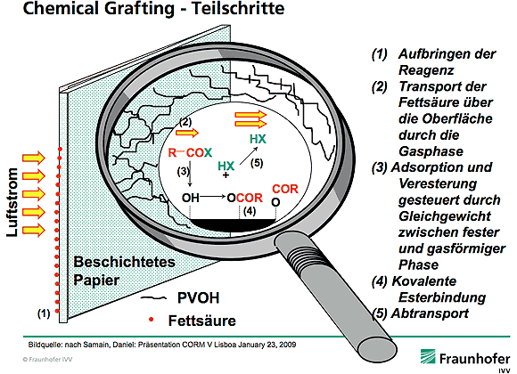 Die Beschichtung von Papier mit Fettsäure durch "chemical grafting" führt zu deutlich besserer Wasserdampfbarriere.