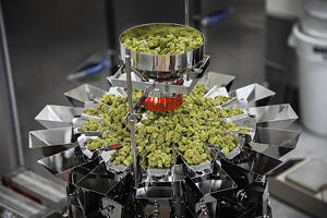 Die Mehrkopfwaage CCW-RV-214-05 bietet Geschwindigkeit und Präzision bei der Verarbeitung von medizinischem Cannabis.