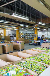Blick in die Produktion bei megapac handling.