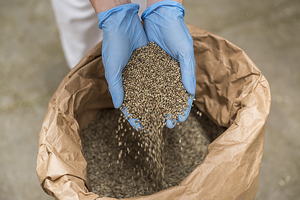 Laut GemPSI machen Papiersäcke für Futtermittel und Saatgut insgesamt rund zehn Prozent des deutschen Absatzmarkts aus.