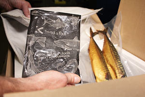 Fisch aus dem Online-Shop: Dank zuverlässiger Kühllösung sicher verpackt für den normalen Paketversand.