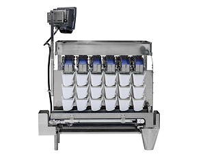 Die lineare Mehrkopfwaage CCW-R2-106 erlaubt die Automatisierung kleinerer Produktionschargen.