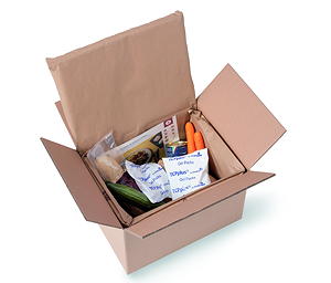 Die Schutzverpackung von Storopack für den Versand von Lebensmitteln, Pharmazeutika und anderen temperaturgeführten Verpackungen.