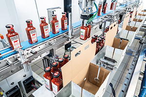 Der Recyclingkreislauf von Papier und Pappe funktioniert: In Deutschland werden über 90 Prozent der gesammelten Abfälle wieder zu Papierprodukten verarbeitet.